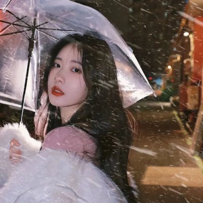 藏獒情未了